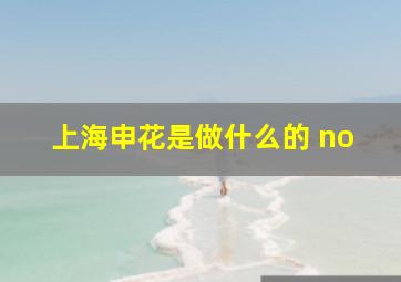 上海申花是做什么的 no